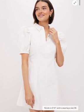 TUCKERNUCK DENIM DRESS
